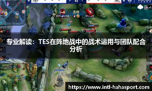 专业解读：TES在阵地战中的战术运用与团队配合分析